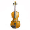Stentor Student II Violin Outfit