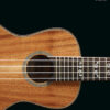 Hal Leonard Ukelele Method Book 1